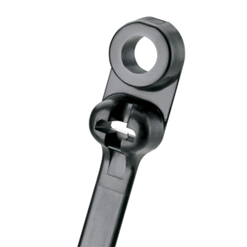 Dây rút Panduit 216mm x 4.7mm Black [BC2S-S10-C0]